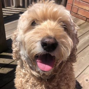 Meet your Posher, Christina